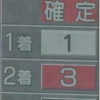 無料予想レース結果