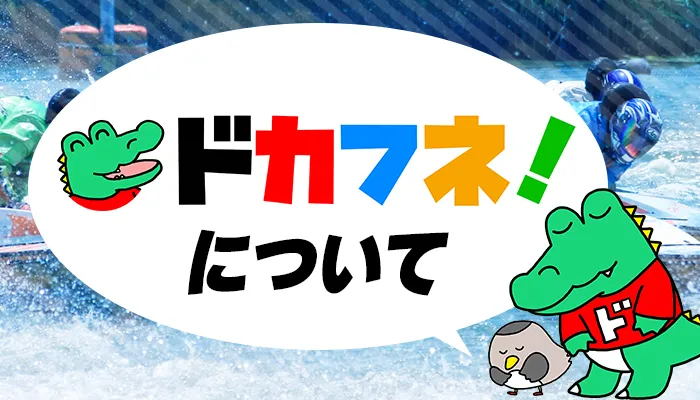 「ドカフネ」について